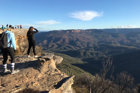 Depuis Sydney : Excursion d&#039;une journée dans les Montagnes Bleues avec croisière fluviale