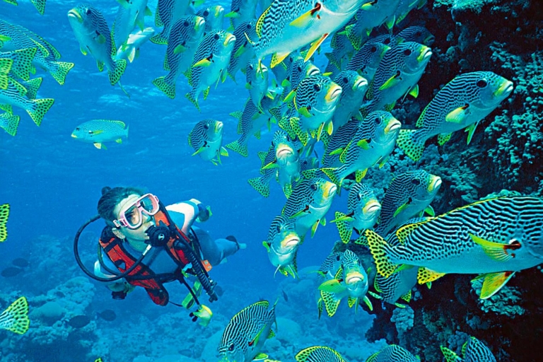 Hurghada: snorkel 6 en 1 viaje en yate con almuerzo buffetTour desde Hurghada