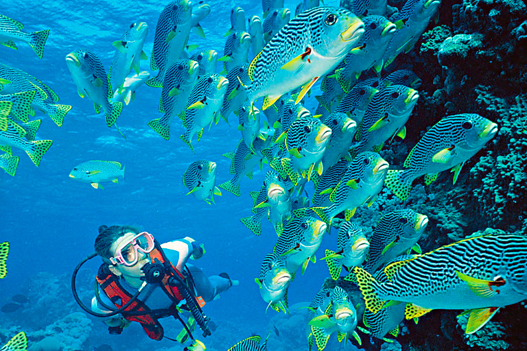 Hurghada: 6 in 1 combo met snorkelen, boottocht en lunchUitstap vanuit Makadi/Soma/El Gouna/Sahl Hasheesh/Safaga