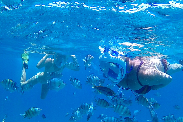 Hurghada: Snorkling och dykning 6 x 1 Yacht Trip till Orange BayTur från Hurghada