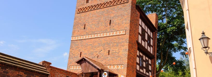 Promenade privée du Musée vivant du pain d'épice de Torun et de la vieille ville