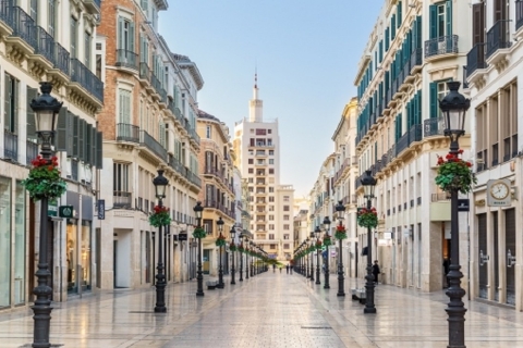 Málaga: visite privée panoramique en voiture avec arrêts photo
