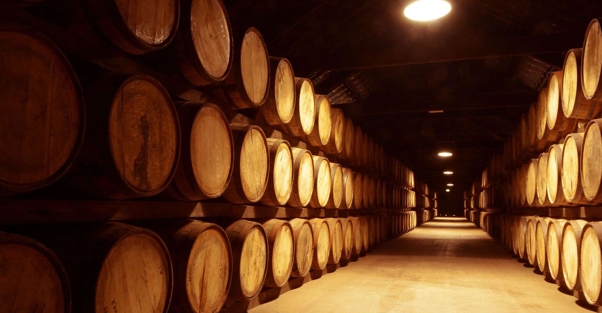 Cork, Midleton Distillery Tour met Whiskey Proeverij - Hizvo