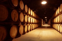 Cork, Midleton Distillery Tour con degustazione di whisky - Hizvo