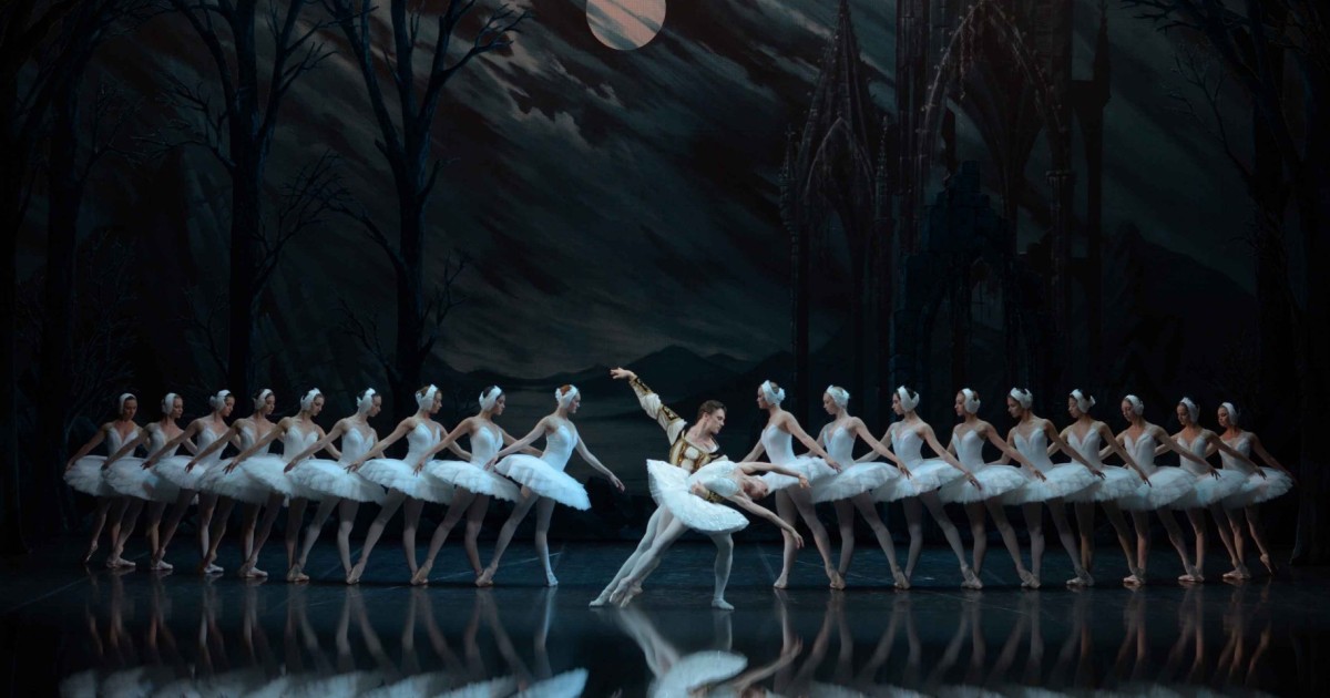 genert valgfri sammensmeltning Skt. Petersborg Mariinsky Theater Ballet | GetYourGuide
