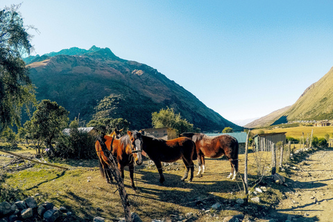 Cusco: Ganztägiger Humantay See mit Picknick