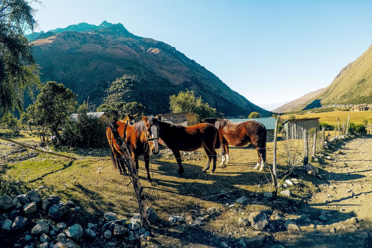 Cusco: Full-Day Humantay Lake met picknick