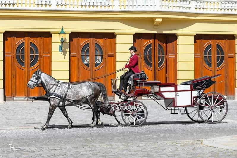 Vienna: 30-Minute Fiaker Ride in the Old Town | GetYourGuide