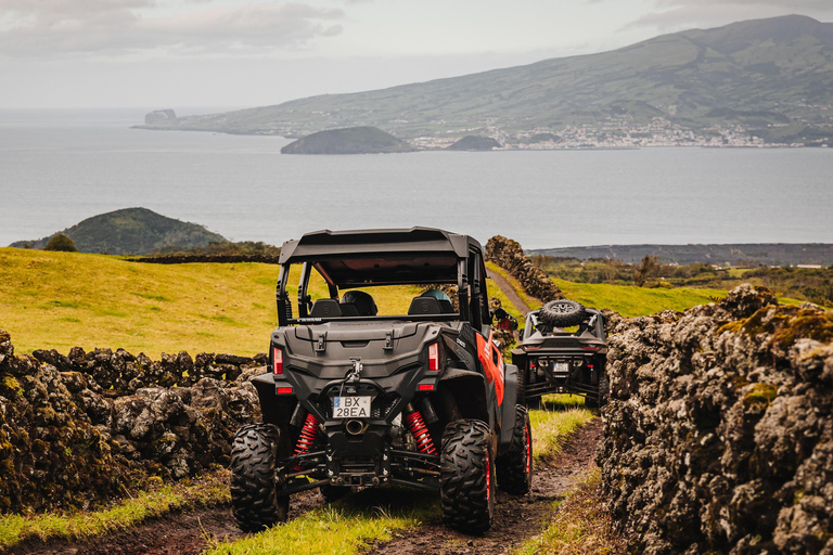 Pico Island: Buggy Tour of Pico Island and Faial Island Faial: Full Adventure