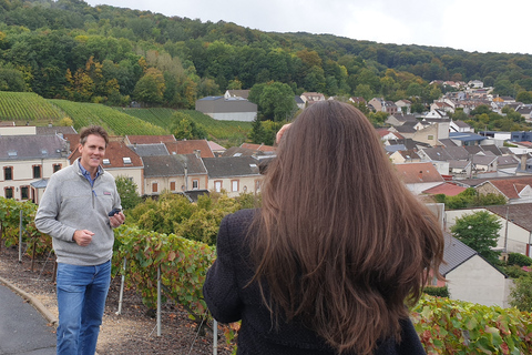 Reims : Entdeckungstour Kleine Produzenten Champagner Tagestour