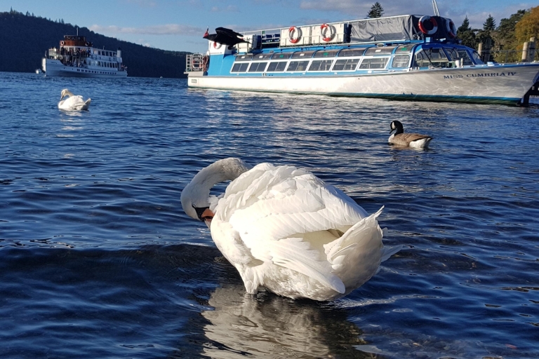 De Liverpool: excursion à terre en bateau de croisière dans le Lake District