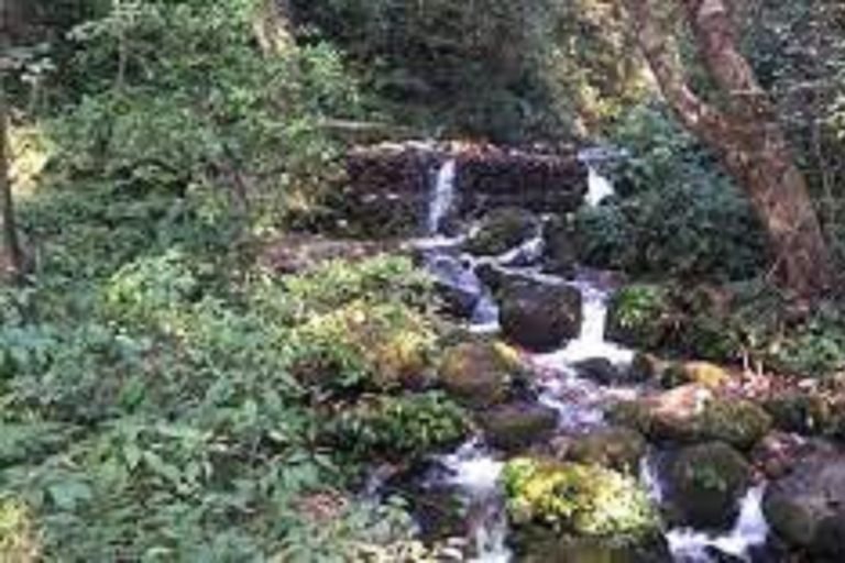 Excursión de un día al Parque Nacional de Shivapuri desde Katmandú