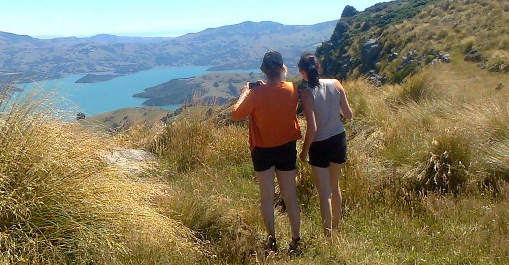 Akaroa, Pohatu Penguins Scenic Nature 2-Hour or 4-Hour Tour - Housity