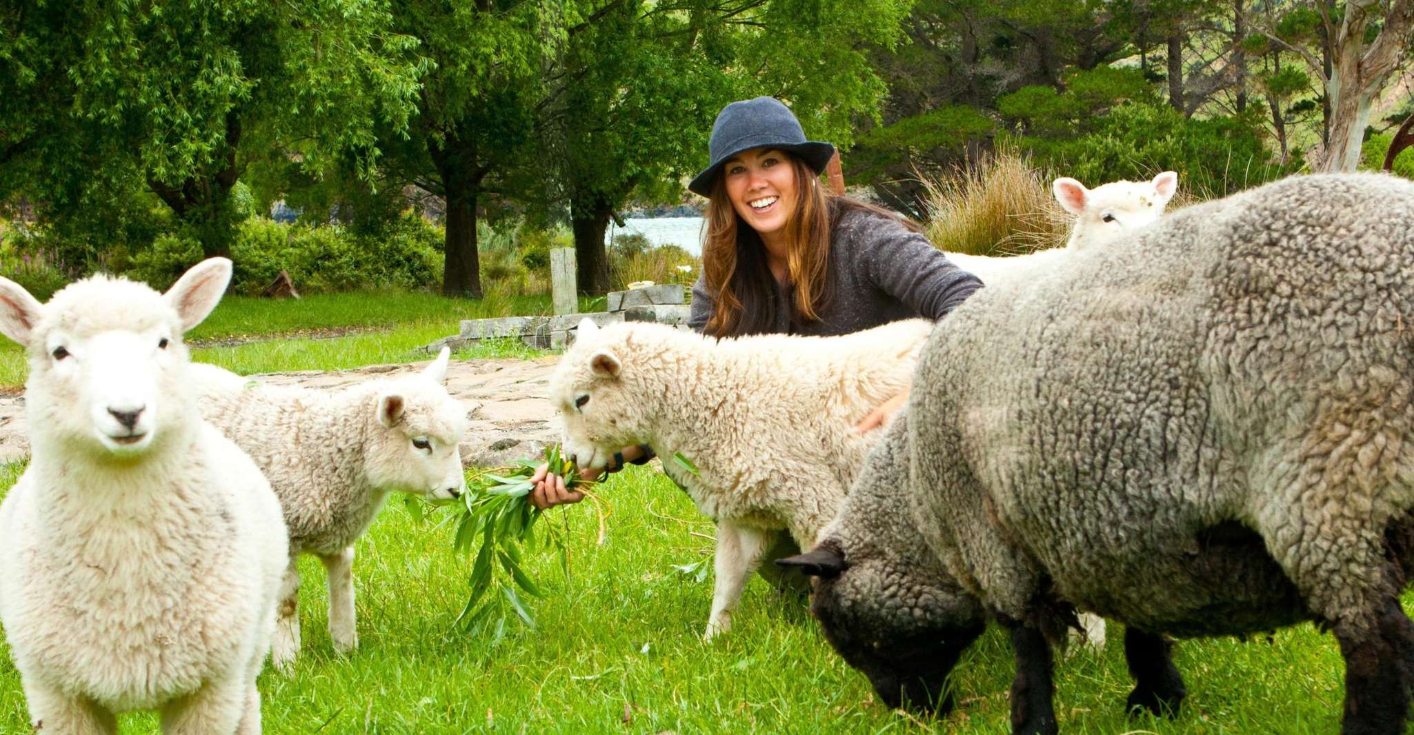 Akaroa, Pohatu Penguins Scenic Nature 2-Hour or 4-Hour Tour - Housity