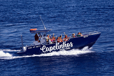 Ilha do Faial: Passeio de barco exclusivo até o vulcão dos CapelinhosIlha do Faial: Passeio de barco único ao vulcão dos Capelinhos