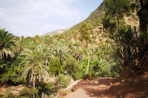 Agadir lub Taghazout: Rajska dolina Atlas Mountain i lunchZ lunchem