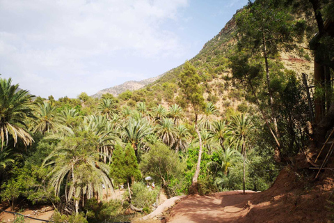 Agadir o Taghazout: Valle del Paradiso Montagna dell&#039;Atlante e pranzoSenza pranzo