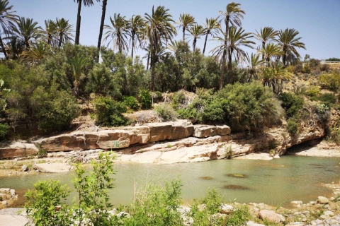 Agadir of Taghazout: Paradijselijke vallei Atlasgebergte & LunchMet Lunch