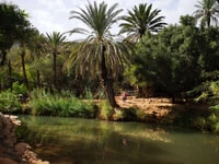 Agadir ou Taghazout, Paradise Valley Atlas Mountain & Lunch - Hizvo