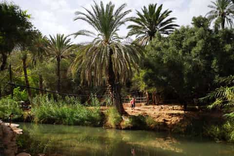Agadir: Paradise Valley & Atlas Mountain Swimming Experience