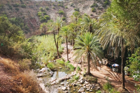 Agadir oder Taghazout: Paradiestal Atlasgebirge & MittagessenMit Mittagessen