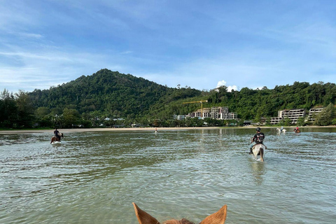 Phuket Beach Horseback Adventure Horse Riding 8:30 AM