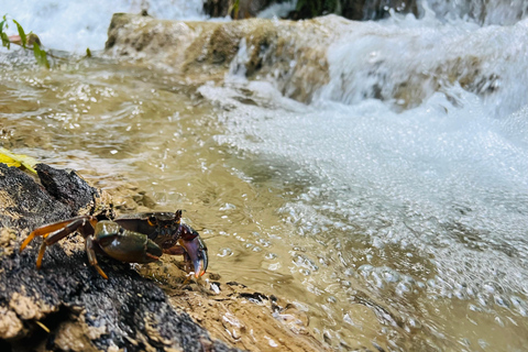 Chiang Rai: The Adventure of Trekking & Bamboo Cooking