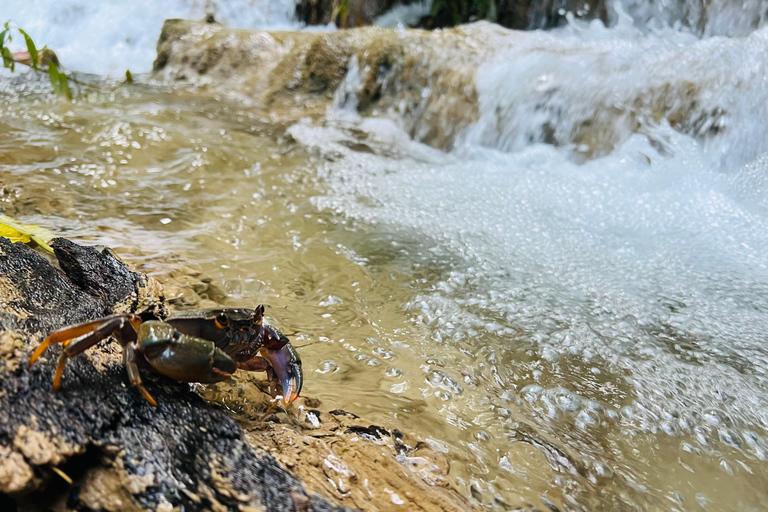 Chiang Rai: The Adventure of Trekking & Bamboo Cooking
