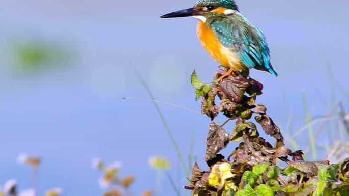 kathmandu 3day chitwan safari tour