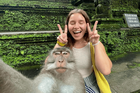 Ubud: Natura in primo piano, fauna selvatica, altalena e cascata