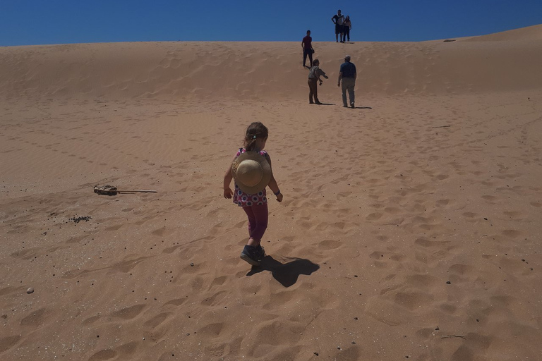 Agadir o Taghazout: Valle del Paradiso Montagna dell&#039;Atlante e pranzoCon Pranzo