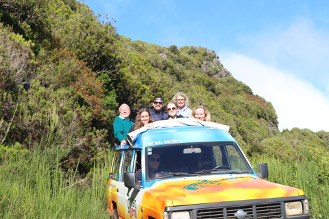 Madeira: costa sud-occidentale, corsa e cascata di Anjo&#039;s Tour 4x4Tour condiviso