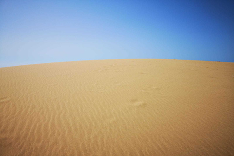 Agadir ou Taghazout : Vallée du Paradis Montagne de l&#039;Atlas &amp; DéjeunerSans déjeuner