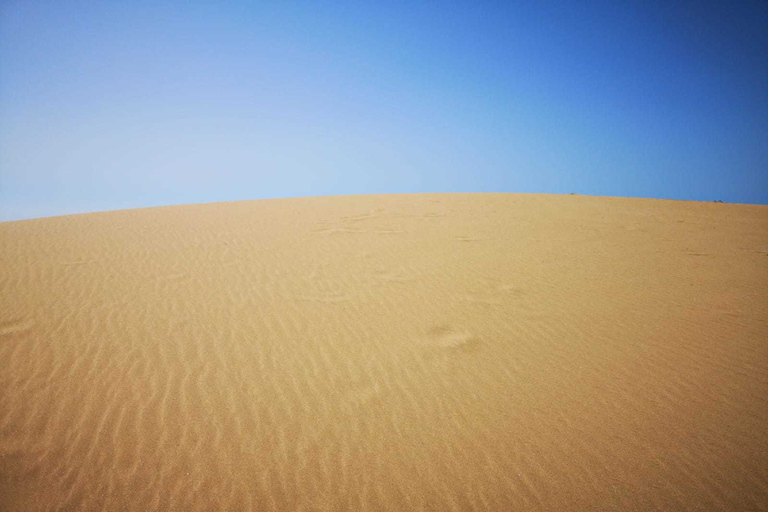 Agadir o Taghazout: Valle del Paradiso Montagna dell&#039;Atlante e pranzoSenza pranzo