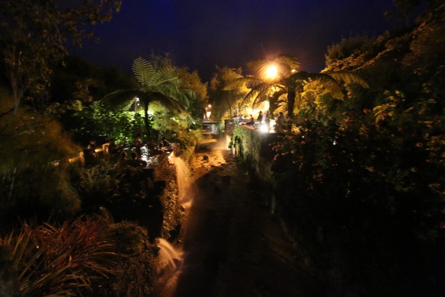 Visit Furnas Night Thermal Pools & Food Experience in São Miguel