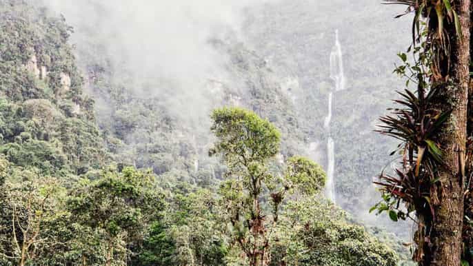 from bogota chorrera and chiflon waterfalls private tour
