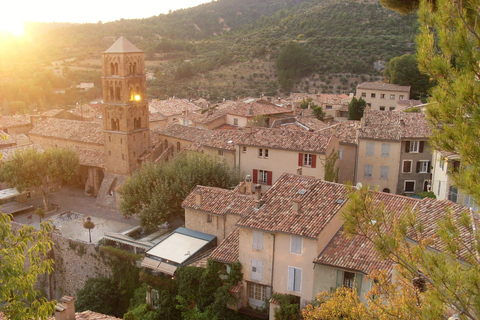 Z Aix-en-Provence: Lawendowa wycieczka 1-dniowa do Valensole