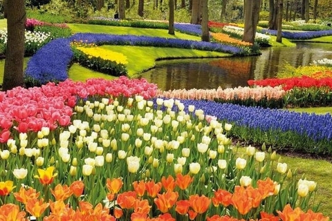 Bruxelles : excursion d'une journée à Keukenhof, aux tulipes et à DelftBruxelles: visite de Keukenhof, des tulipes et de Delft