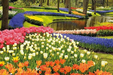 Brüssel: Tagesausflug Keukenhof, Tulpen und DelftBrüssel: Keukenhof, Tulpen und Delfter Tour