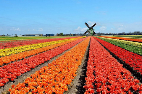 Bruksela: Keukenhof, tulipany i jednodniowa wycieczka do DelftBruksela: Keukenhof, tulipany i Delft Tour