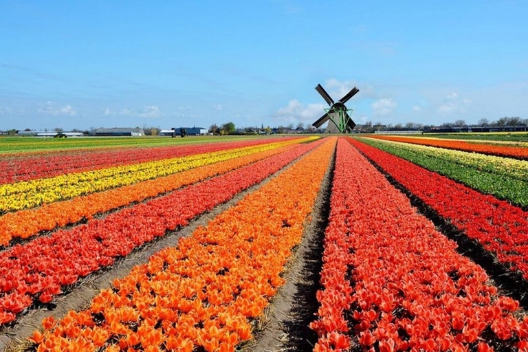 Bruxelles : excursion d'une journée à Keukenhof, aux tulipes et à DelftBruxelles: visite de Keukenhof, des tulipes et de Delft