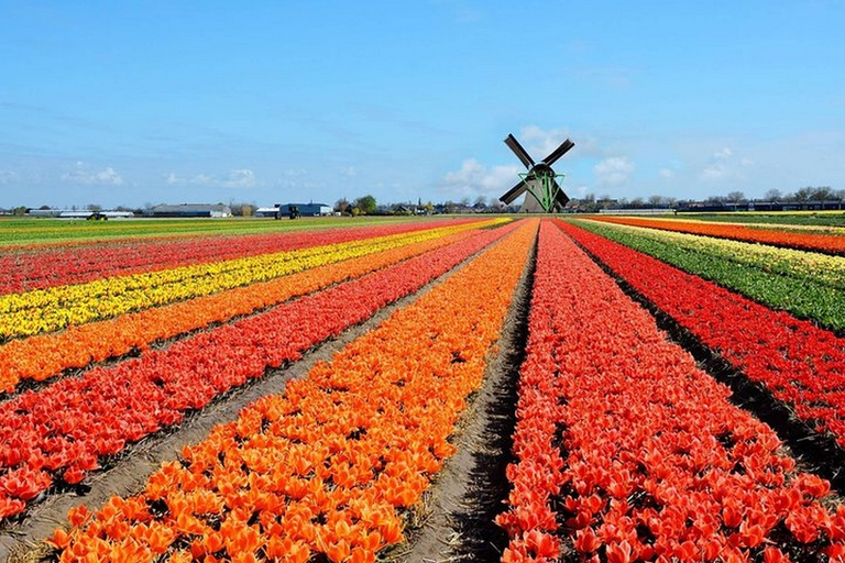 Brüssel: Tagesausflug Keukenhof, Tulpen und DelftBrüssel: Keukenhof, Tulpen und Delfter Tour