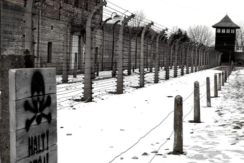 Krakow: Auschwitz-Birkenau Private Chauffeur Service