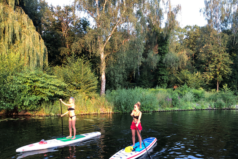 Leipzig: Cospudener Lake Stand-Up Paddleboard Course
