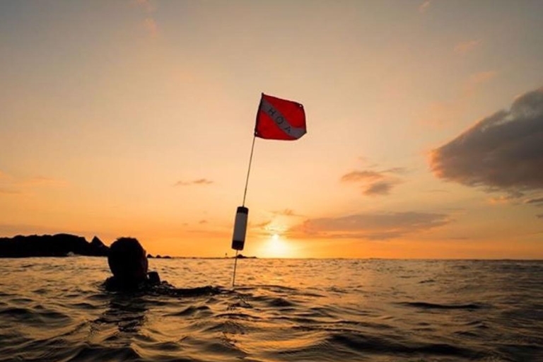 Hilo : plongée de nuit pour plongeurs certifiésHilo : plongée de nuit avec équipement de location