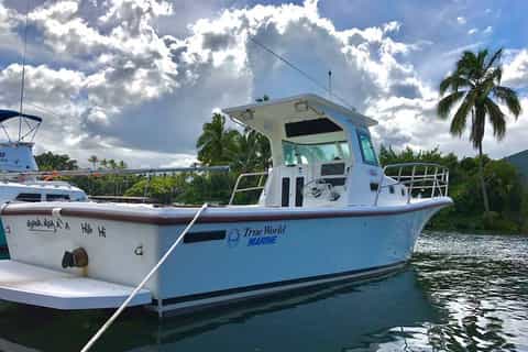Hilo: 2-Hour Historic Hawaii Hamakua Cruise