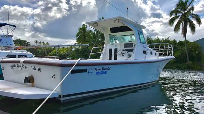 hilo 2hour historic hawaii hamakua cruise