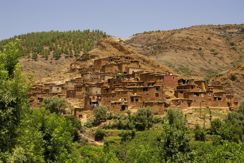 From Marrakech: Atlas Mountains, Ourika Valley, & Camel Ride