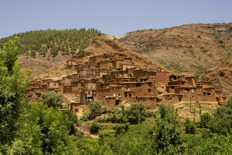 Desde Marrakech: montañas del Atlas, valle de Ourika y paseo en camello