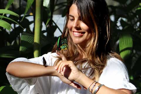 Cairns: Australian Butterfly Sanctuary